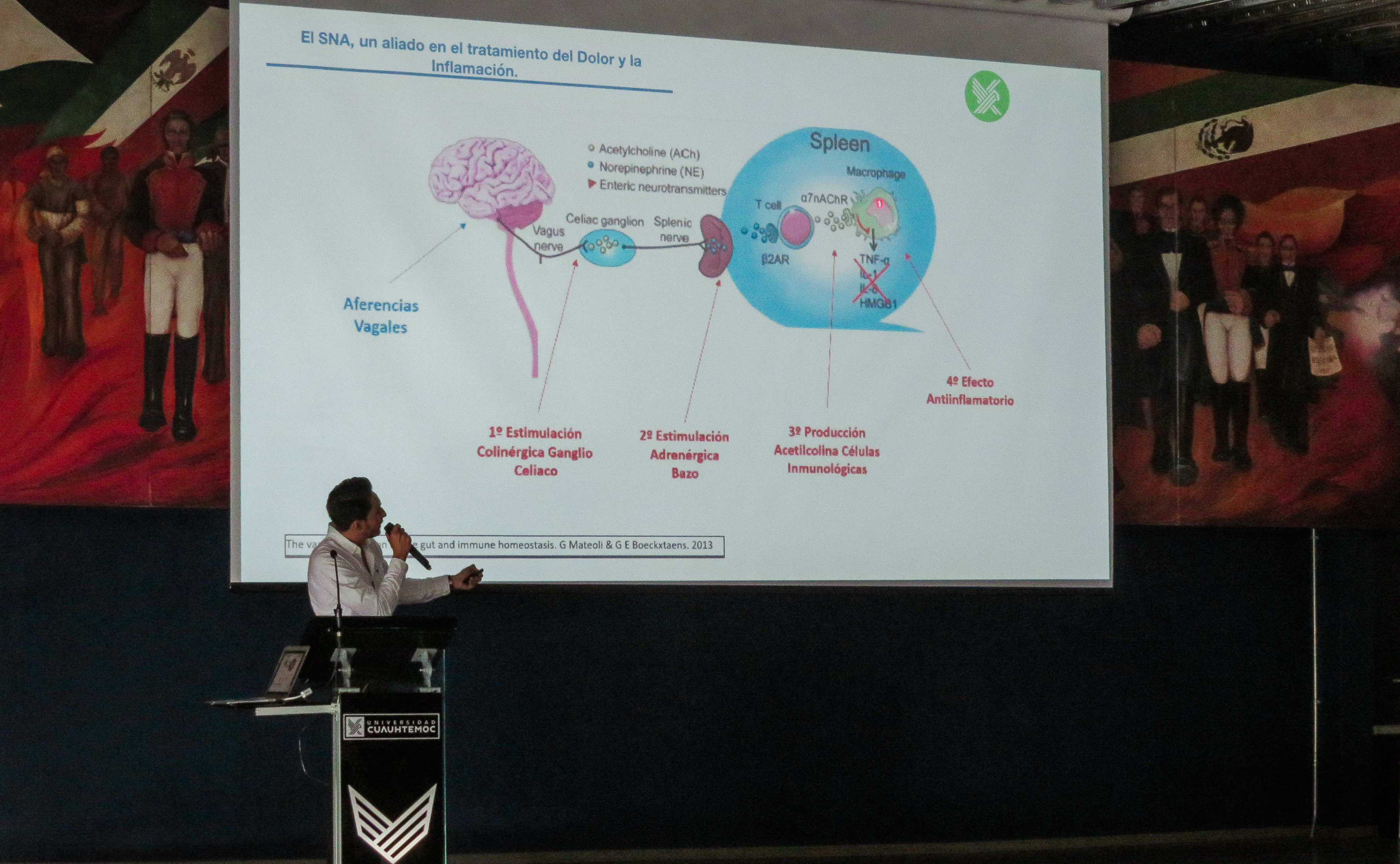 SNA en fisioterapia