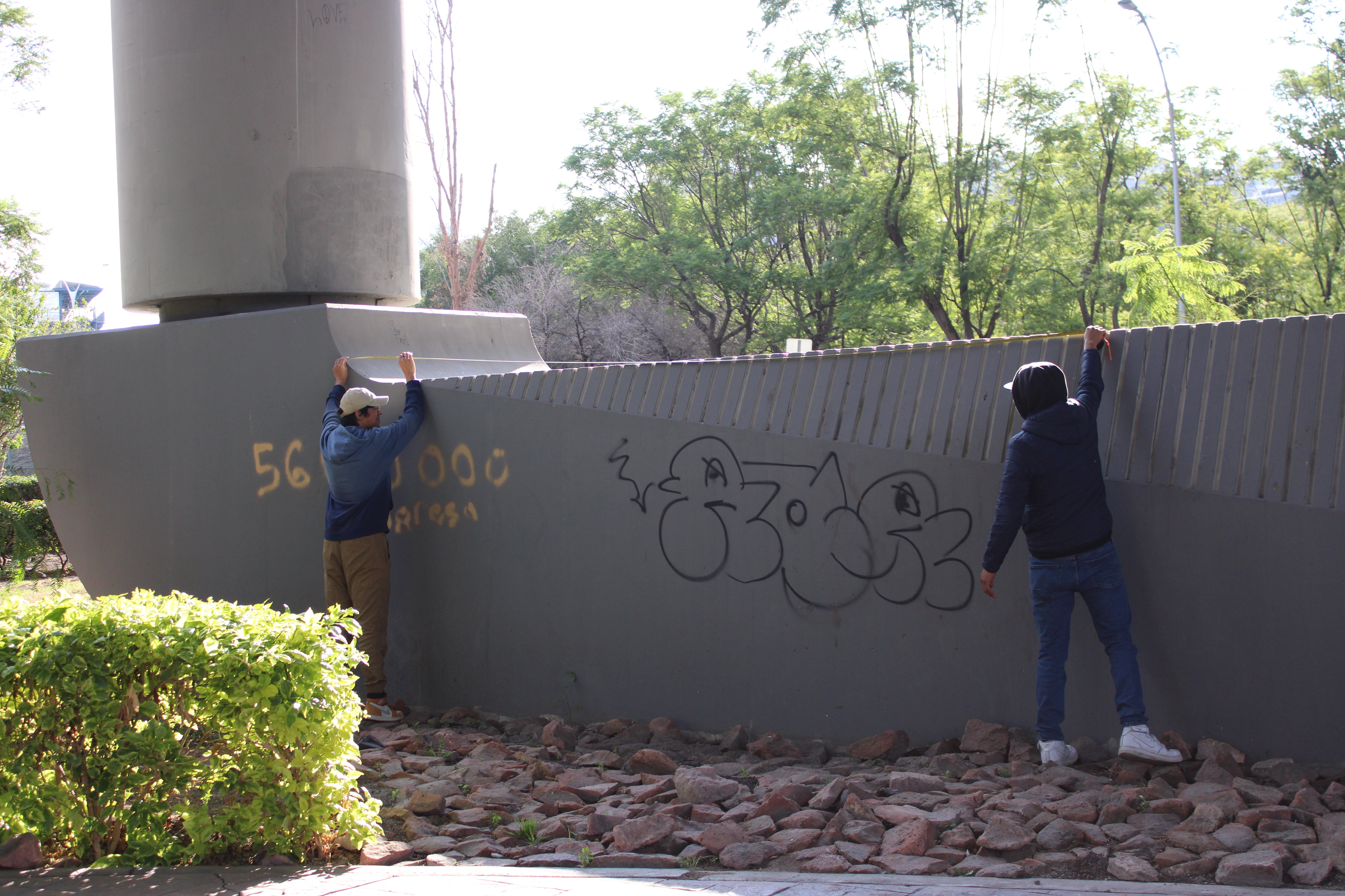 proyecto bajo puente