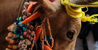 Guerreras participan en “Fotografía tus tradiciones”